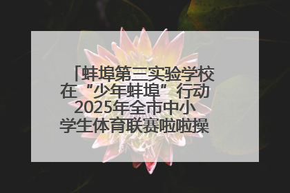 蚌埠第三实验学校在“少年蚌埠”行动2025年全市中小学生体育联赛啦啦操比赛中获佳绩